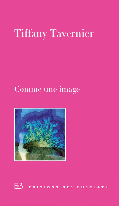 Comme une image